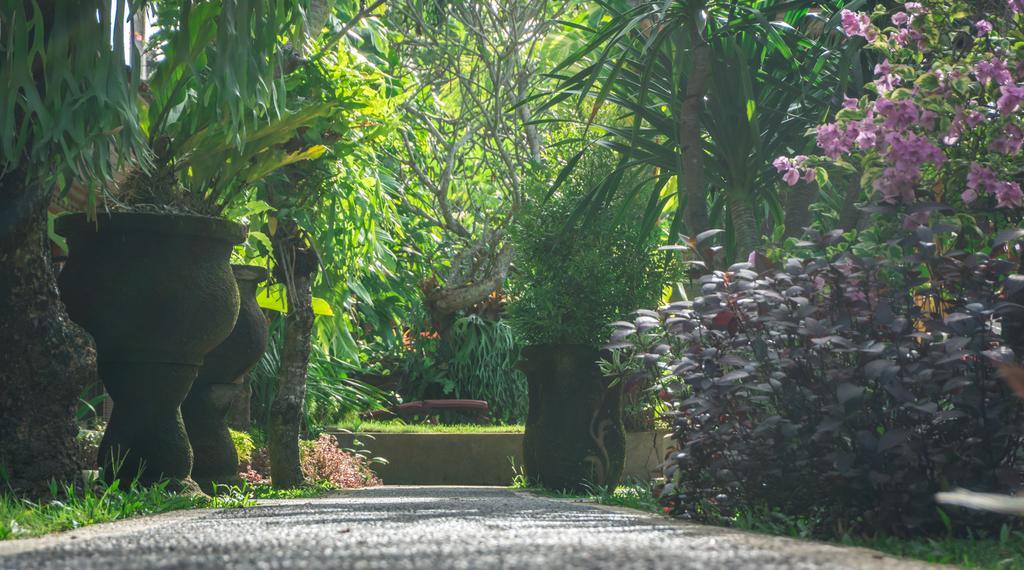 Gangga Blessta Hotel Ubud  Ngoại thất bức ảnh